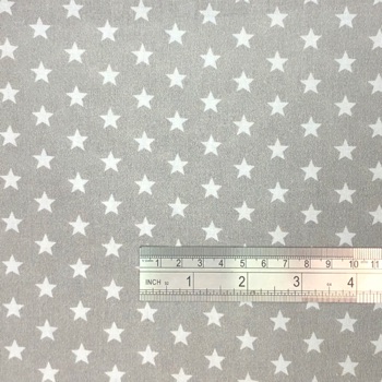 Small Star Silver (2)